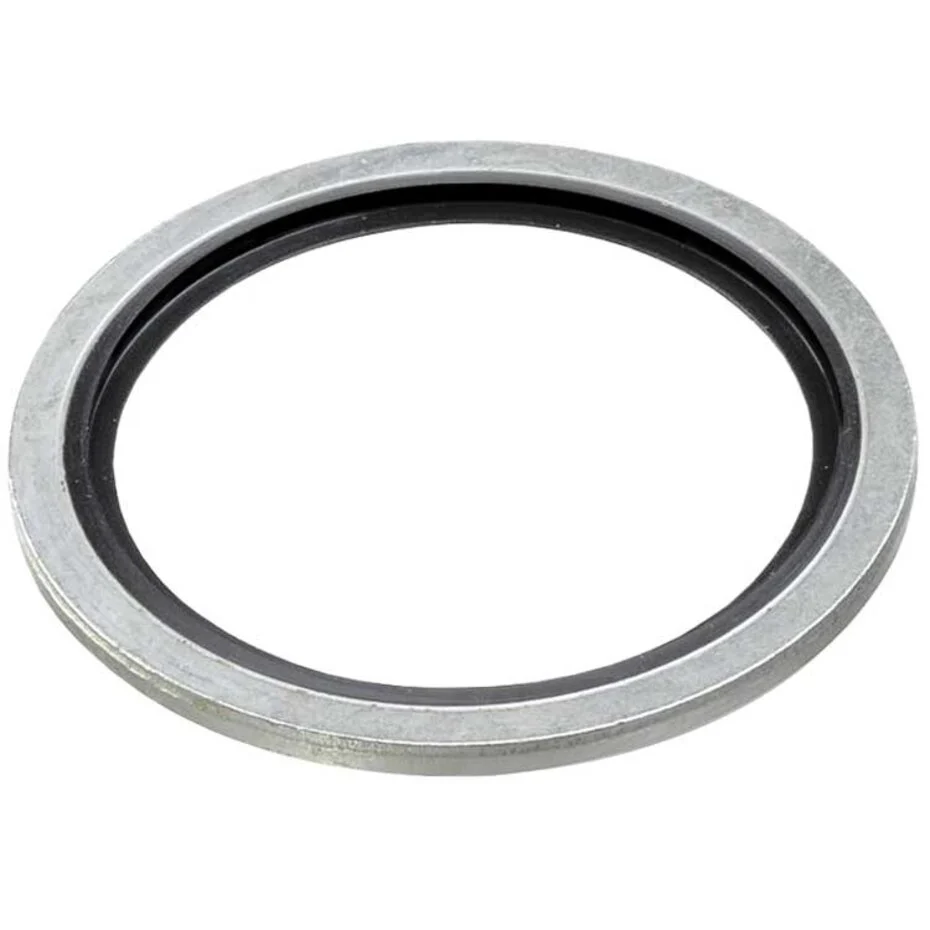 Dichtring 1/4"(1 STK)