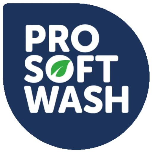Windows Polish Paste / 12 stuks (pro softwash)